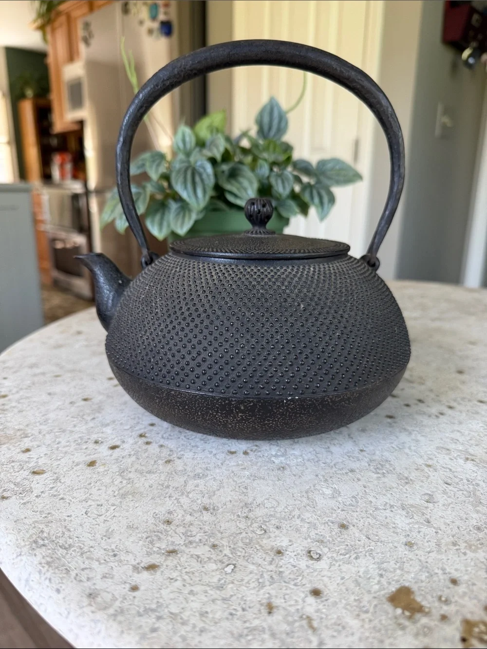 Cast Iron Teapot Kettle - Black